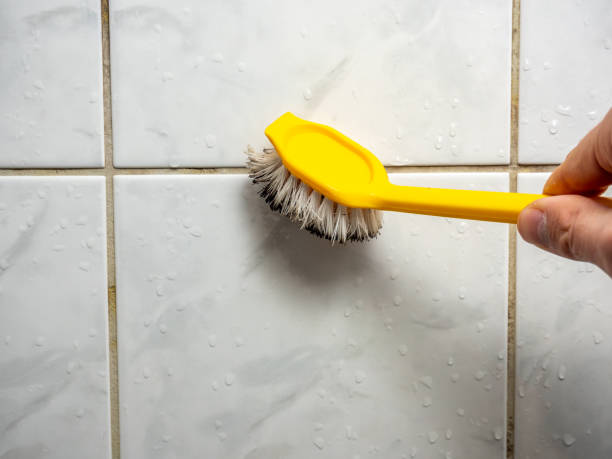 Best Mold Remediation for Schools in Munford, TN